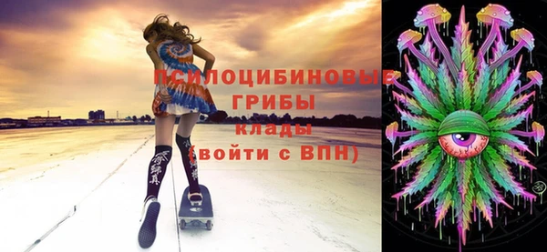 apvp Дмитров