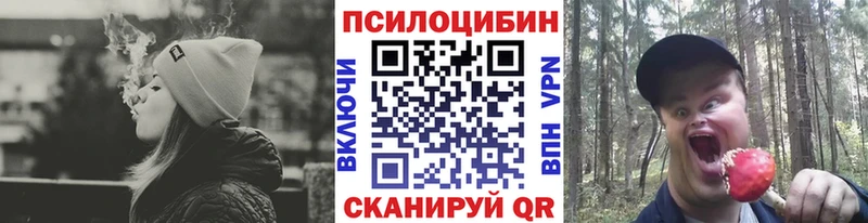 Галлюциногенные грибы GOLDEN TEACHER  наркотики  мега как войти  Нея 
